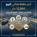 أرض صناعية نشاط غذائي للبيع في العاشر من رمضان | 12000 متر على طريق الروبيكي